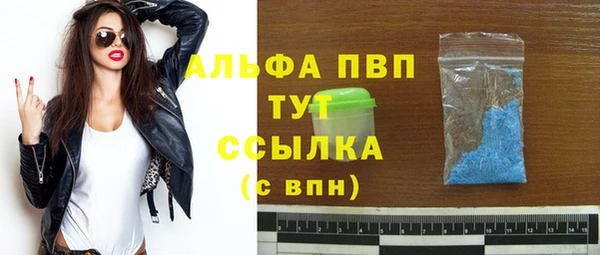 гашик Алексин