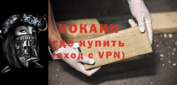 гашик Алексин