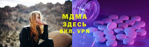гашик Алексин