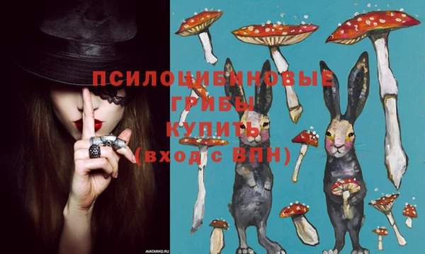 гашик Алексин